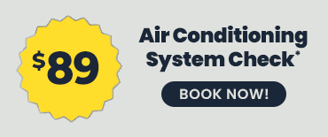 $189 AC Mechanical System Check